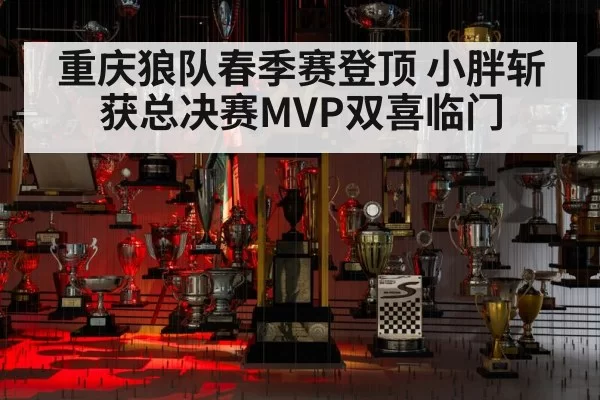 重庆狼队春季赛登顶 小胖斩获总决赛MVP双喜临门