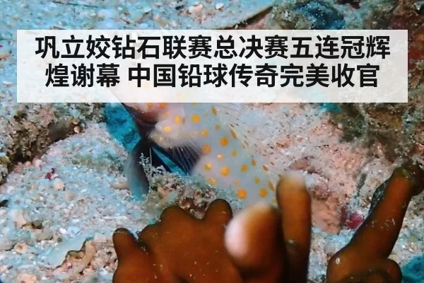 巩立姣钻石联赛总决赛五连冠辉煌谢幕 中国铅球传奇完美收官