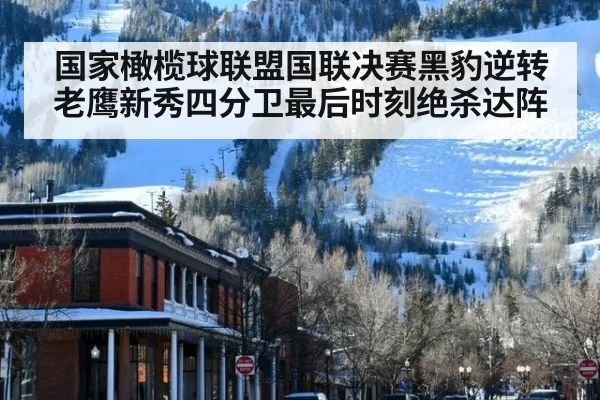 国家橄榄球联盟国联决赛黑豹逆转老鹰新秀四分卫最后时刻绝杀达阵